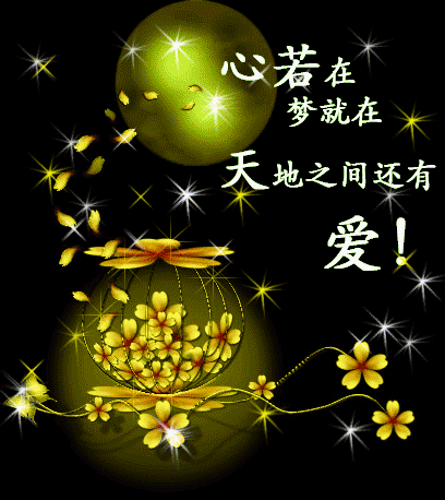 我的相册