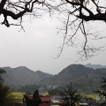 清明时节