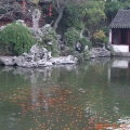 沙家浜、同里