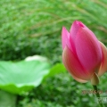 随拍