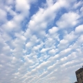 我的相册