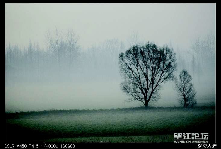 1133041pspl4zfpfrhlphp附件.jpg