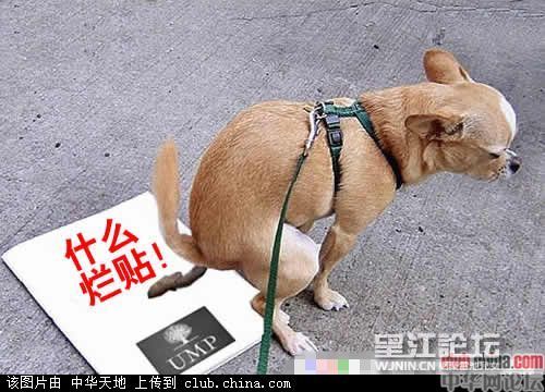 什么狗屎帖.jpg