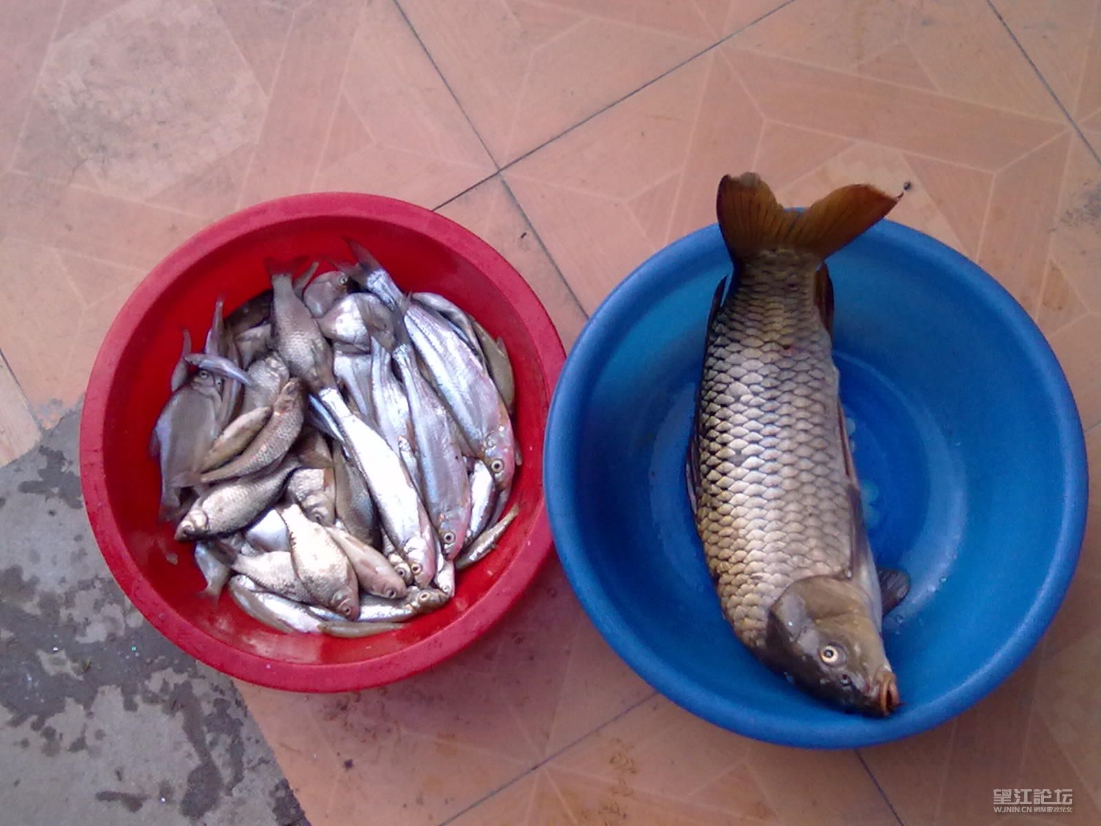 20120421635.jpg