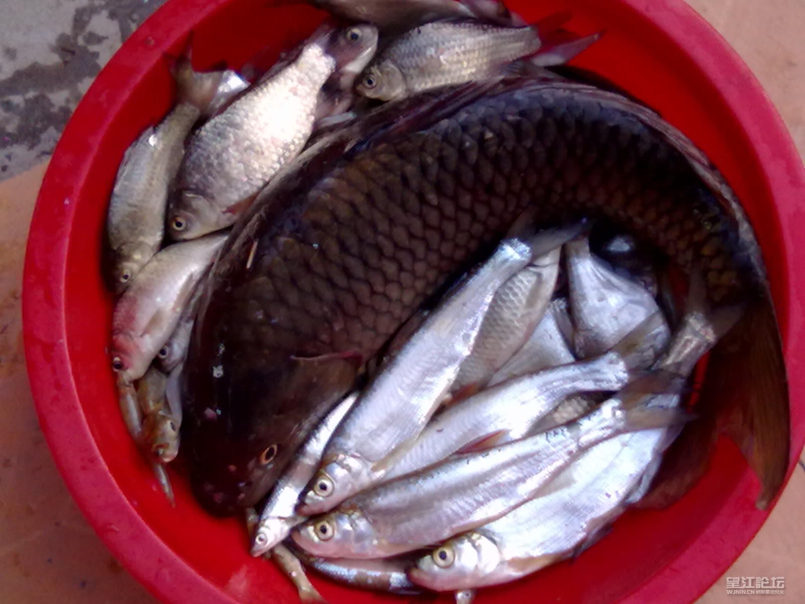 20120421633.jpg