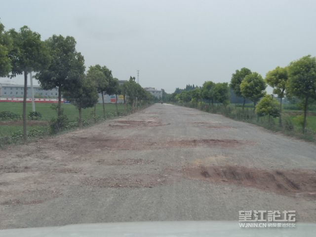 DSC01206.JPG