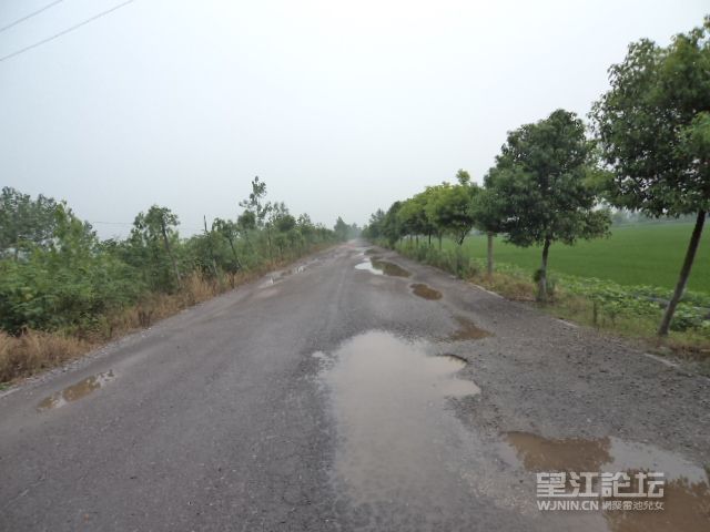 DSC01207.JPG