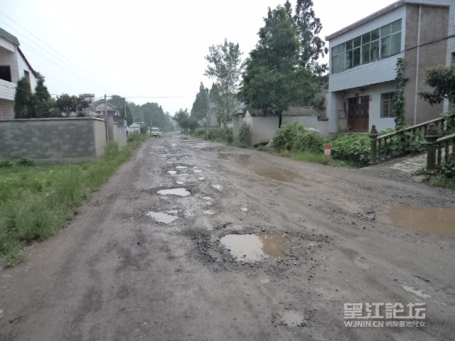 DSC01208.JPG