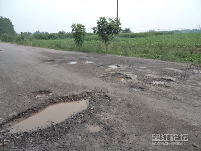DSC01214.JPG