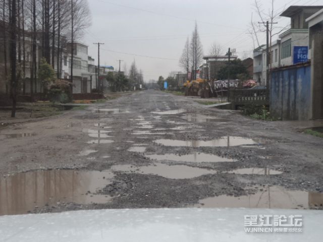 DSC01561.JPG