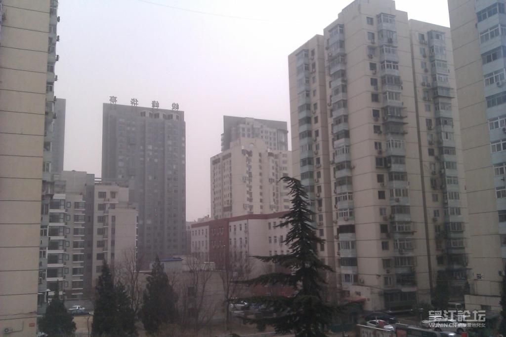 12IMAG0335.JPG
