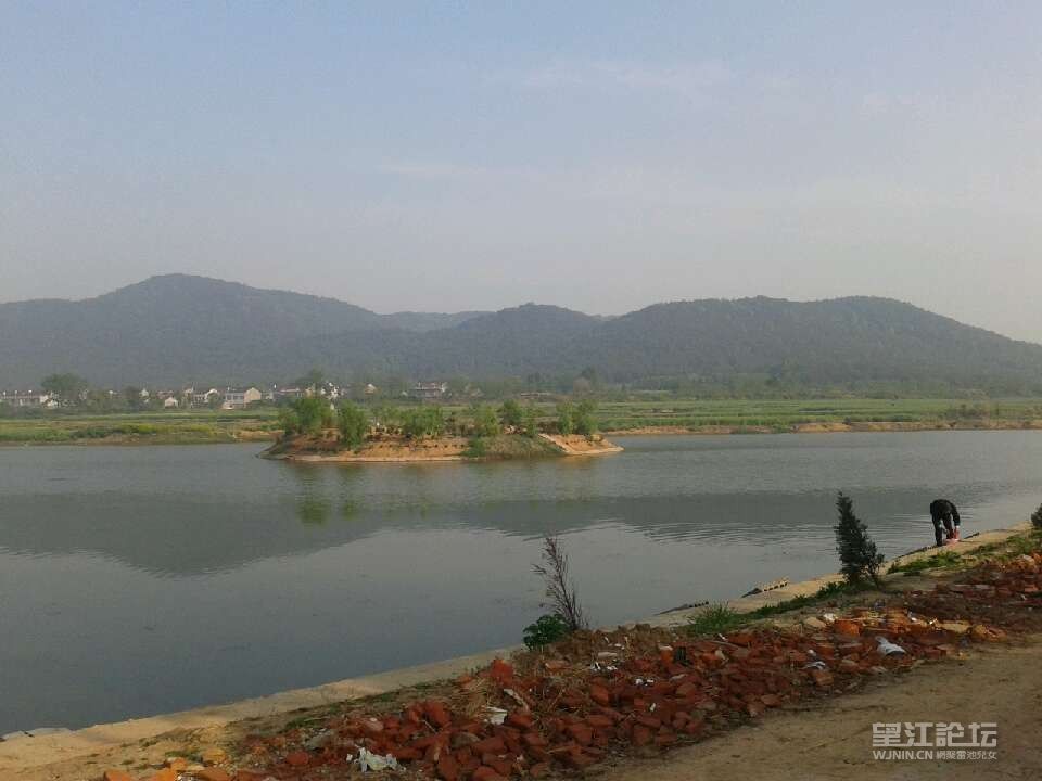 我的小岛.jpg