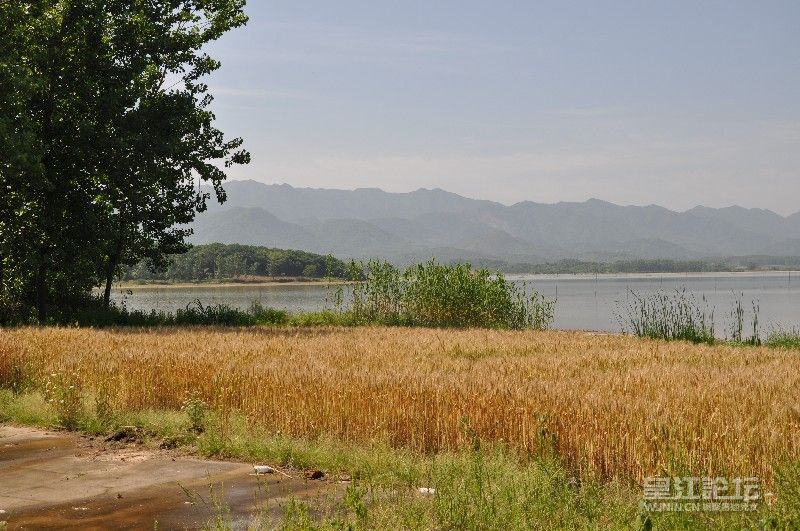 路边风景