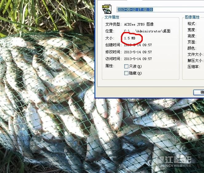 原图是1.5M