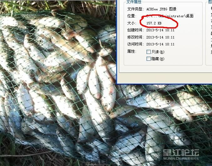 未命名2.jpg