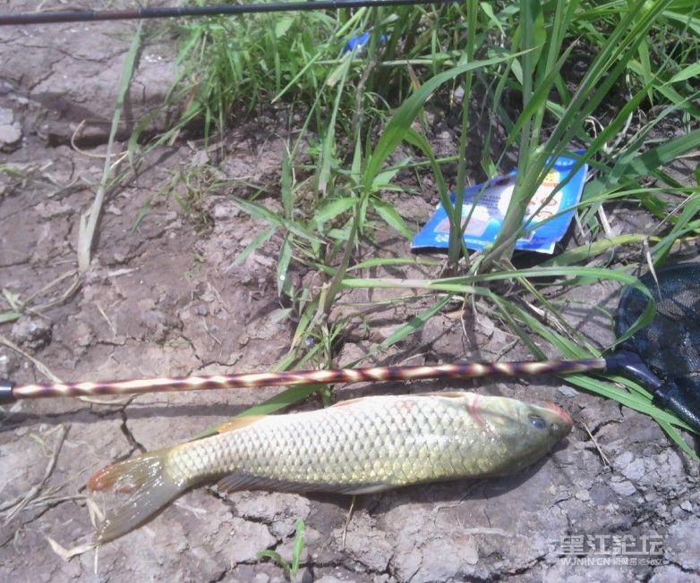 QQ图片20130516013321.jpg