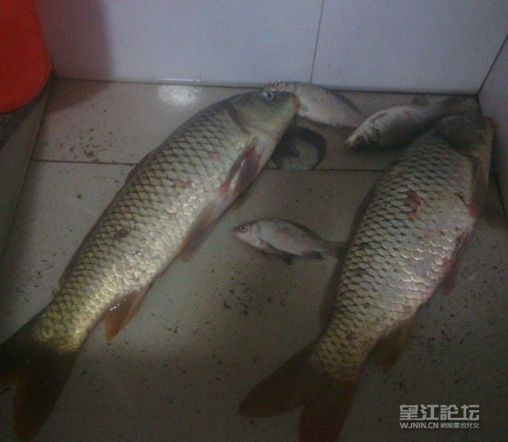 QQ图片20130516015441.jpg