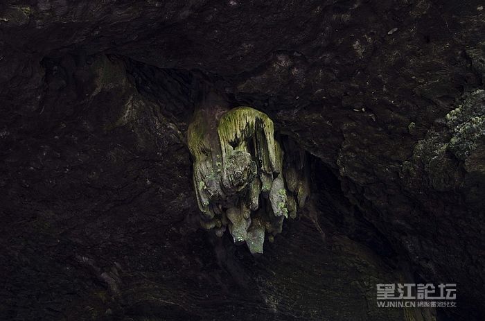 DSC_4182.jpg