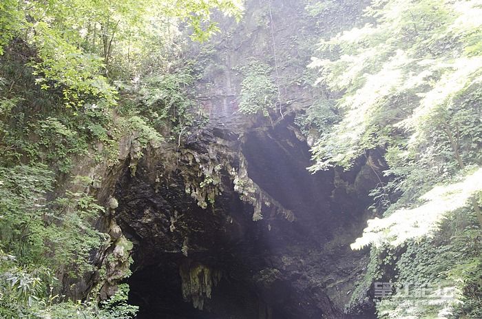 DSC_4186.jpg