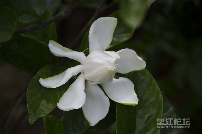 DSC_4189.jpg