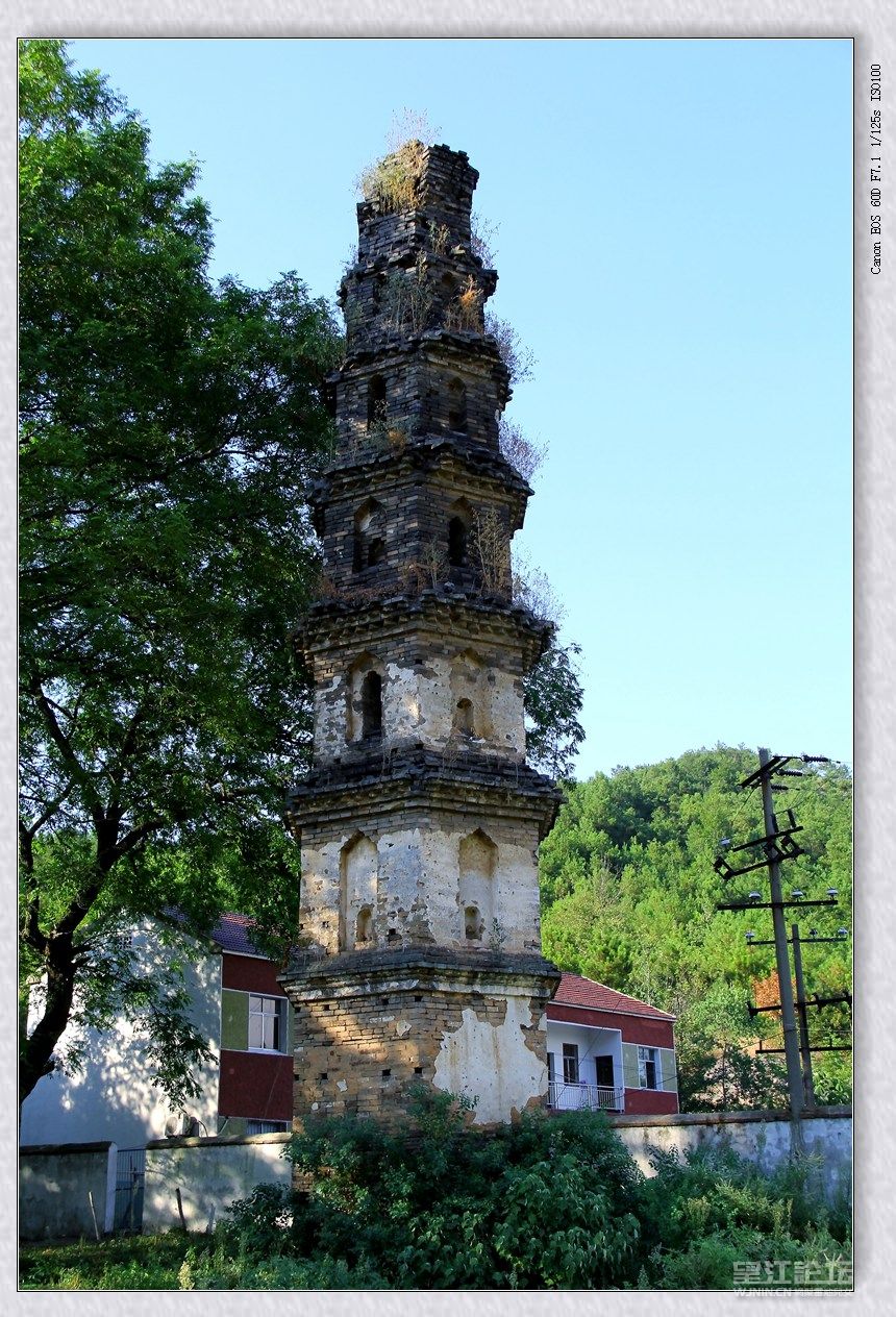褒隐寺塔1.jpg