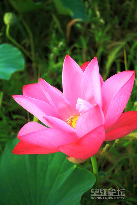 照片 565.jpg