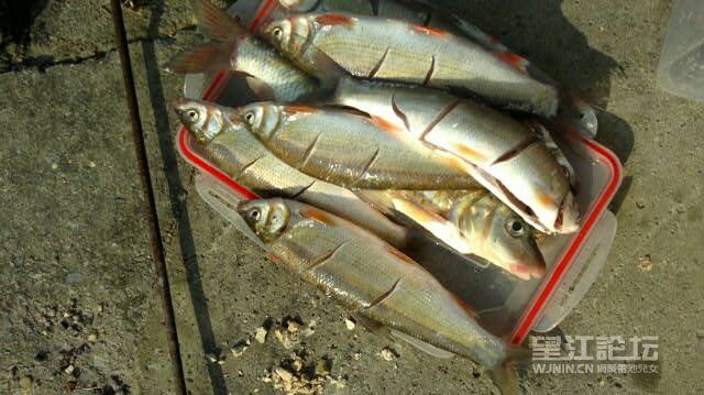 20140511.jpg