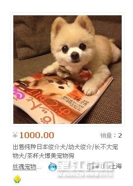 QQ图片20131107204946.jpg
