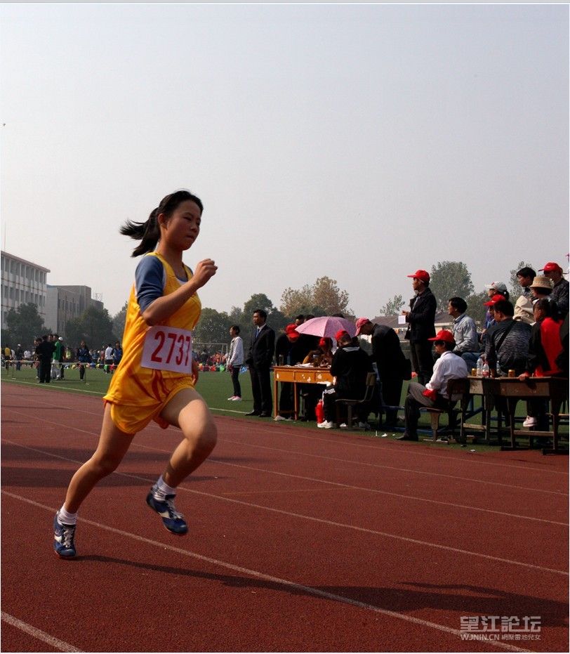 QQ图片20131110110507.jpg