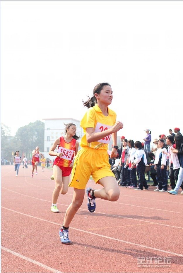 QQ图片20131110111122.jpg