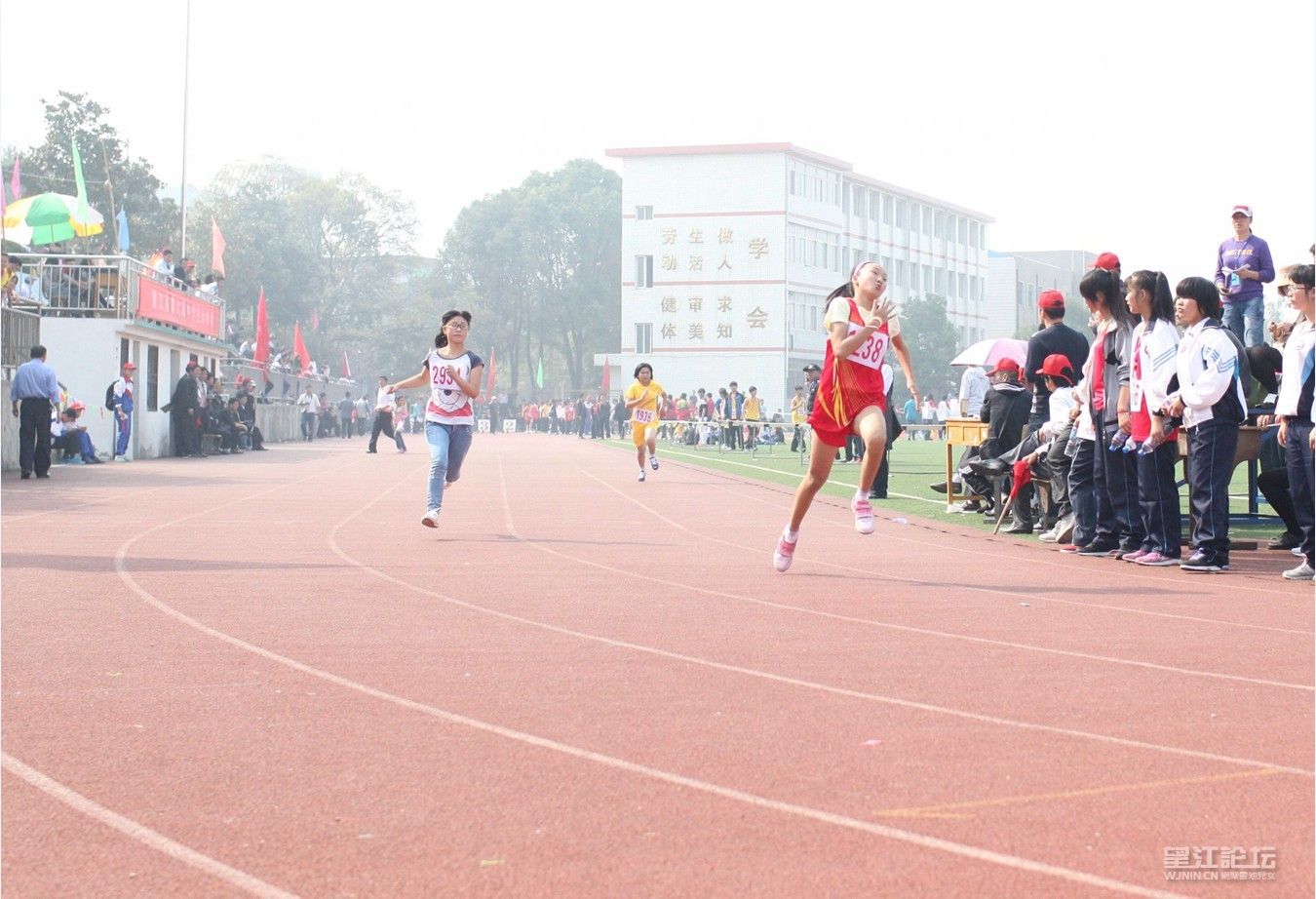 QQ图片20131110111140.jpg