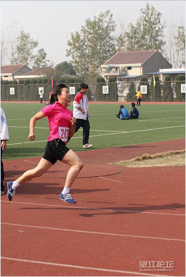 QQ图片20131110111248.jpg