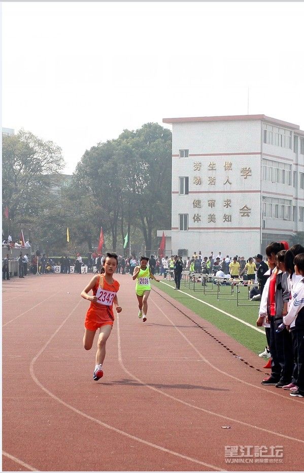 QQ图片20131110111420.jpg
