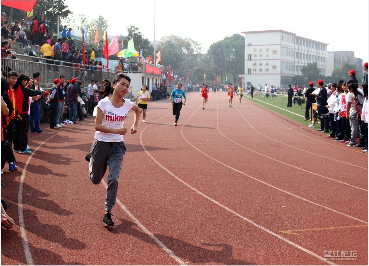 QQ图片20131110111543.jpg