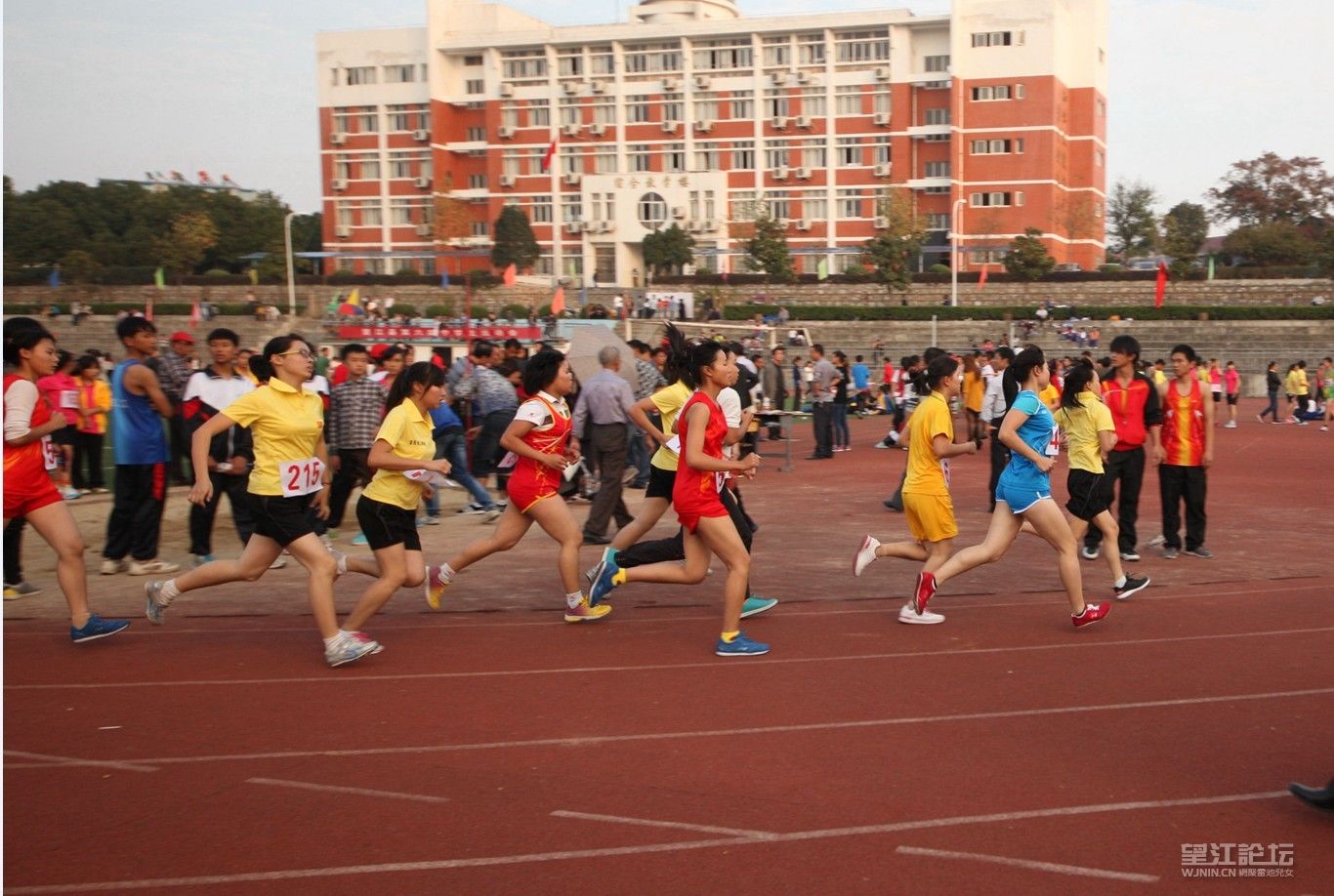 QQ图片20131110114223.jpg