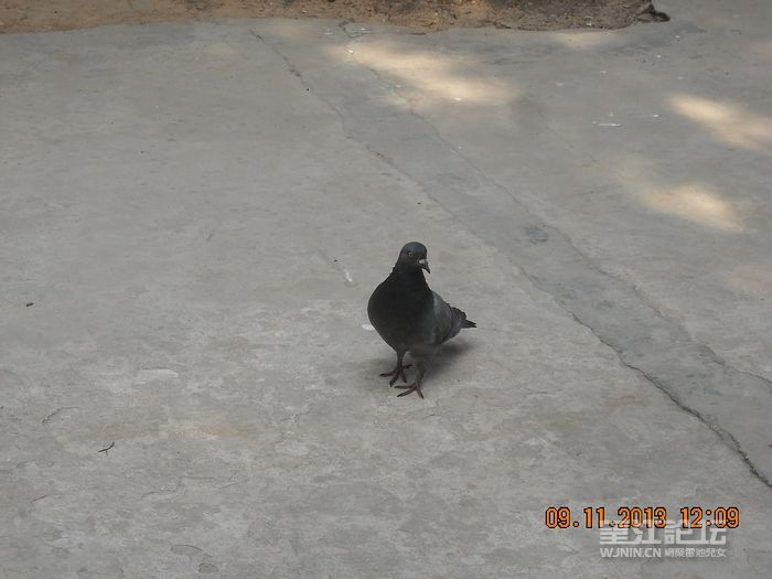DSCN9654.JPG