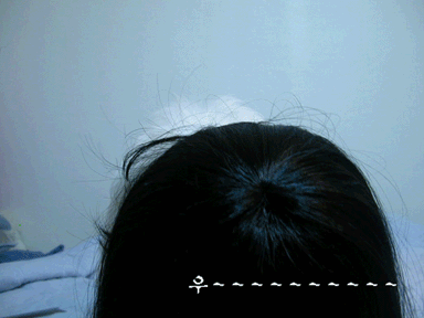 460[1].gif