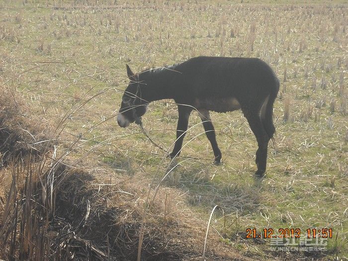 DSCN9795.jpg