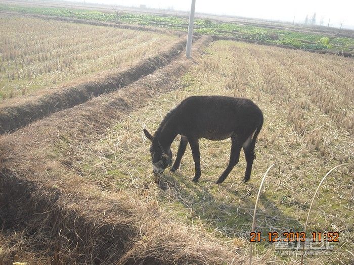 DSCN9799.jpg