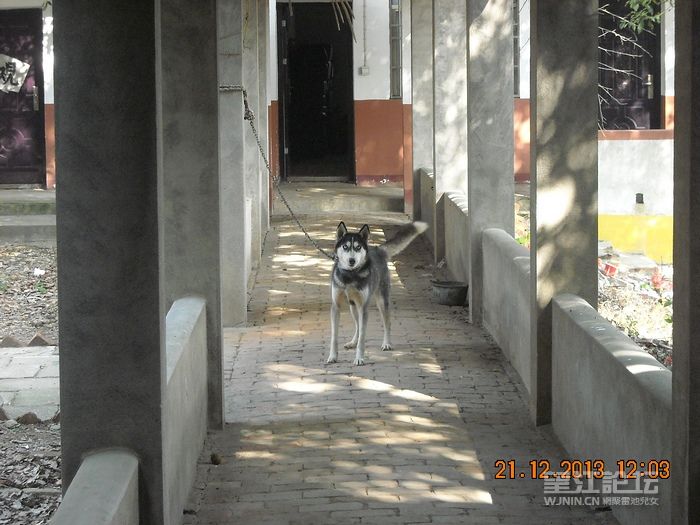 DSCN9807.jpg