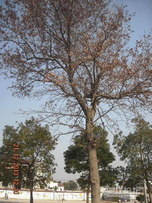 DSCN9830.jpg