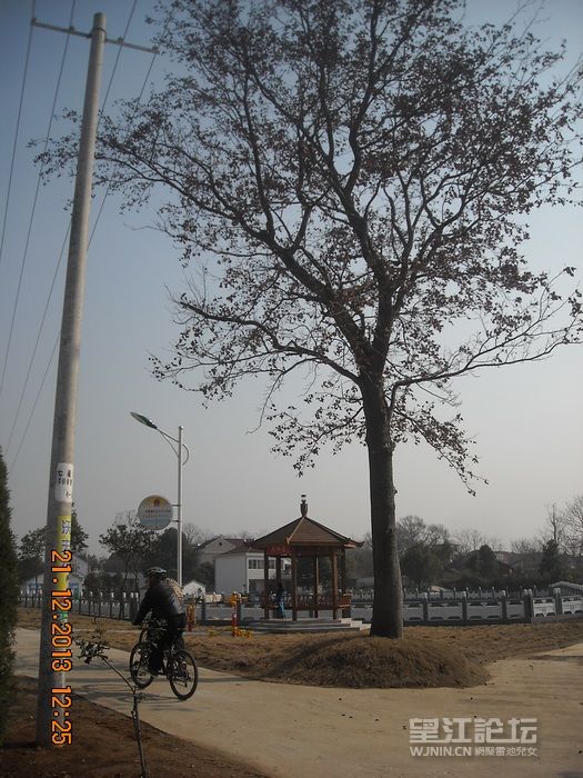 DSCN9838.jpg