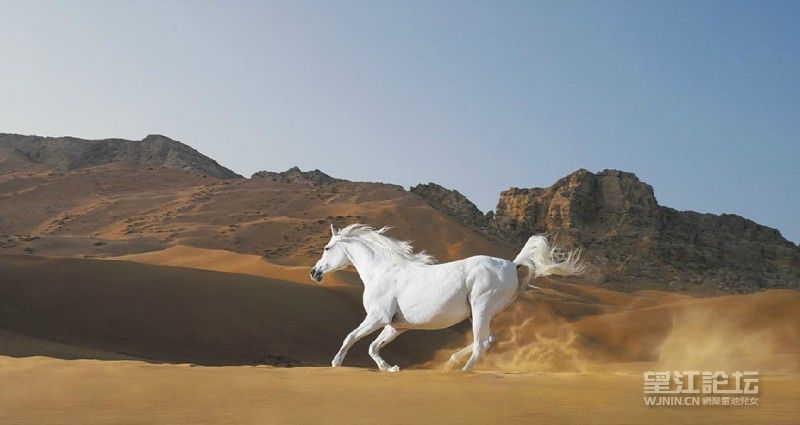 Tim-Flach-2-800x425.jpg