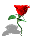 142604bpb89q44r8qr2938.gif