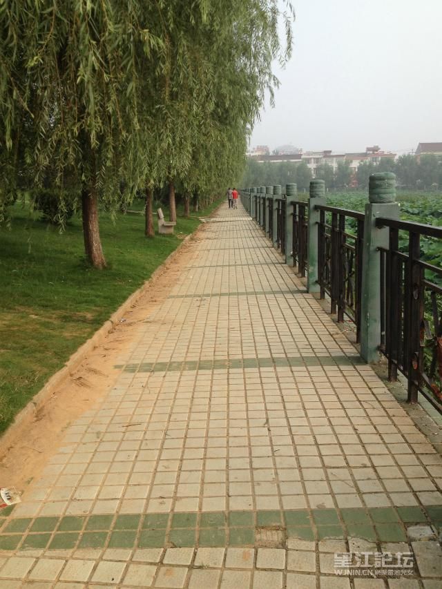 333qq.jpg
