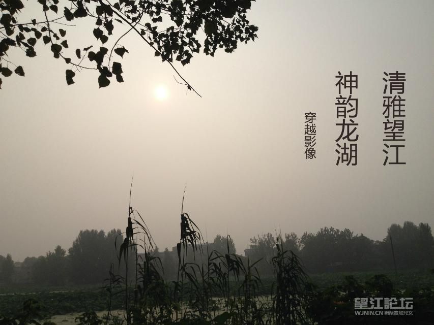 cy147896.jpg