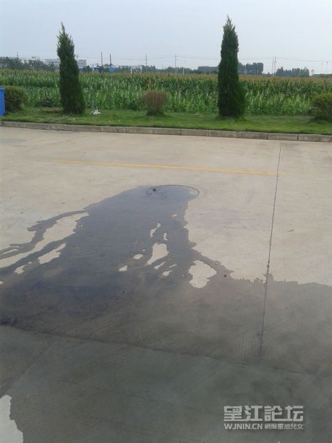 20140802_075511.jpg