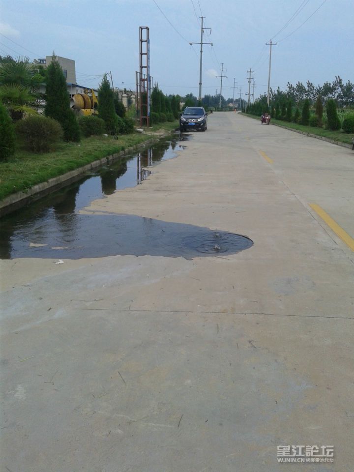 20140802_075546.jpg