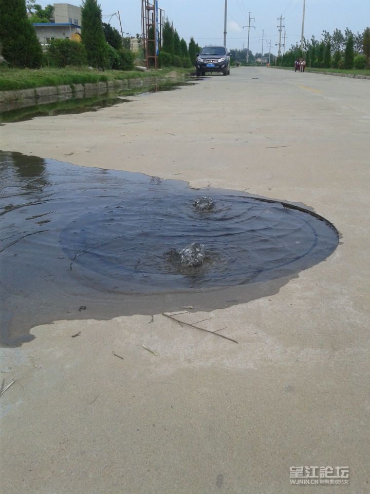 20140802_075603.jpg