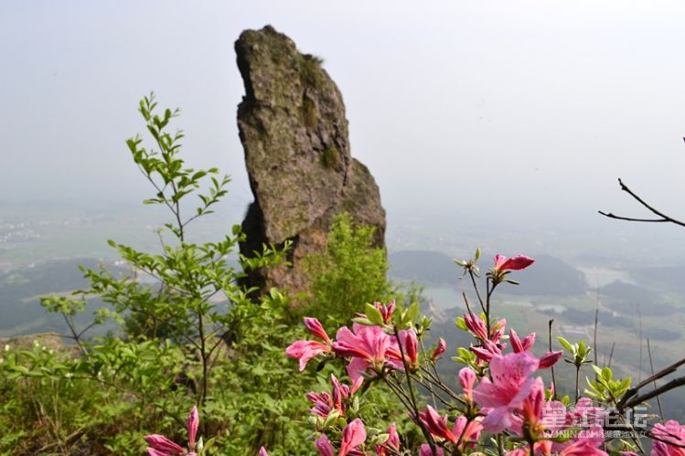 _DSC0167_副本.jpg